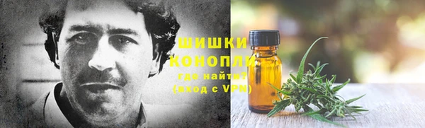 мяу мяу кристалл Богданович
