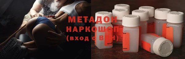 индика Белокуриха