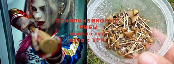 мяу мяу кристалл Богданович